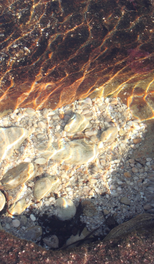 Caño Cristales