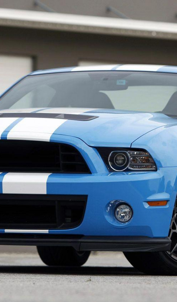 shelby gt 5000