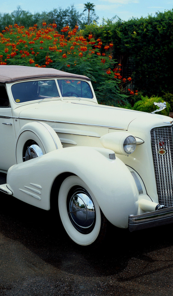 Cadillac V16 Series 90 Town Cabriolet '1936.jpg