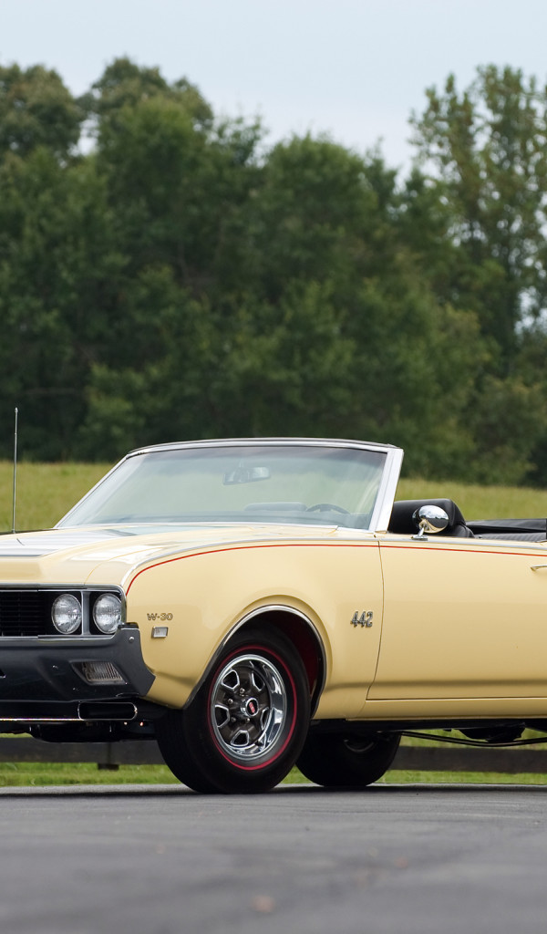 Oldsmobile 442 W-30 Convertible '1969.jpg