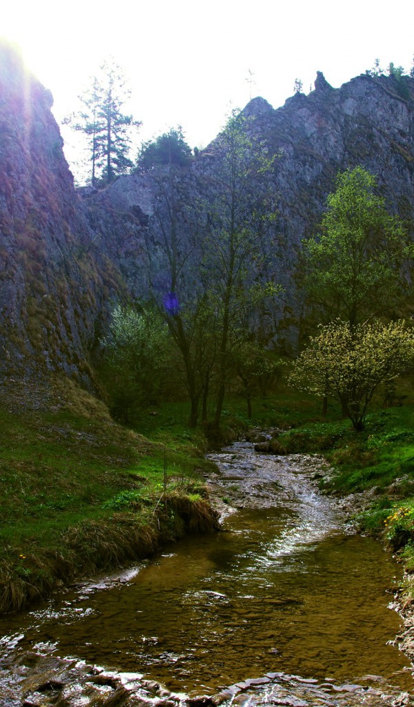 Ścieżka w góry