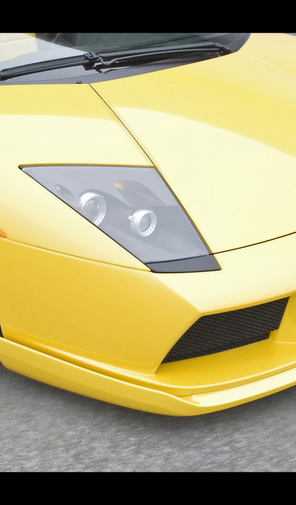 Lamborghini Murcielago Hamann 2007 5.jpg