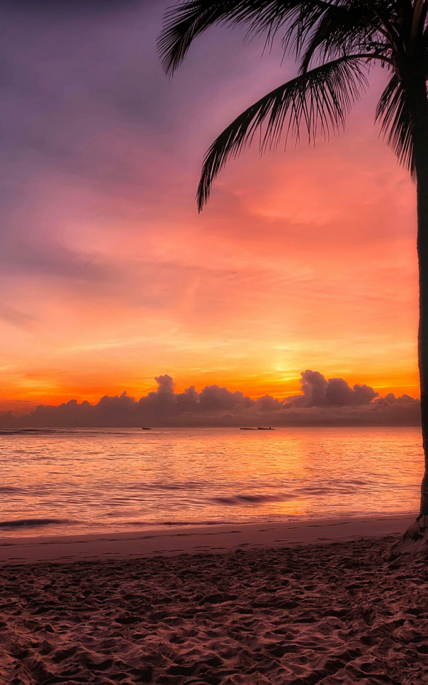 Plaża nad oceanem w Dominikanie o zachodzie słońca