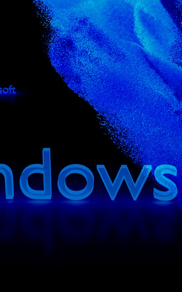 Windows 10 (11)