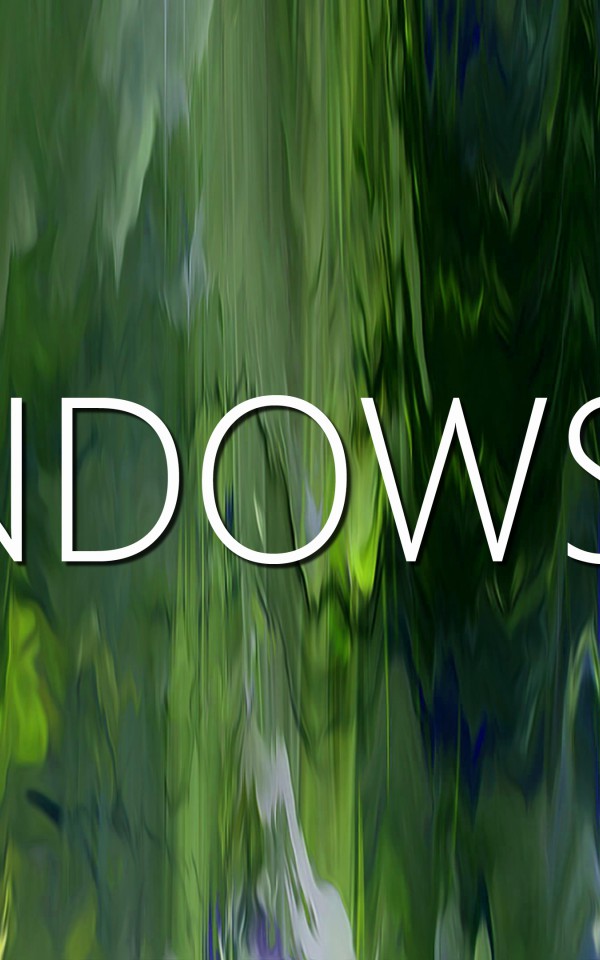 Windows 11 (5)