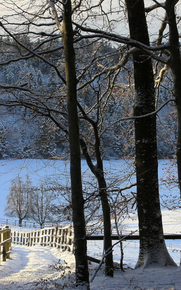Krajobraz zima 67