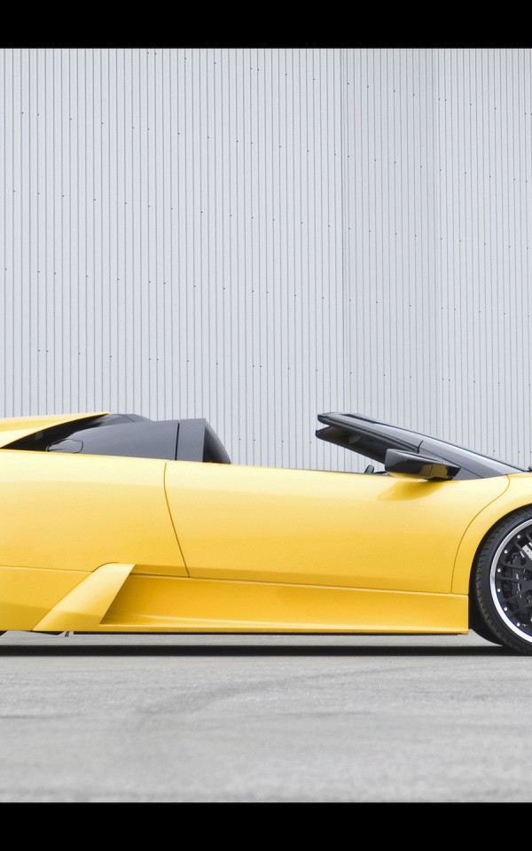 Lamborghini Murcielago Hamann 2007 9.jpg