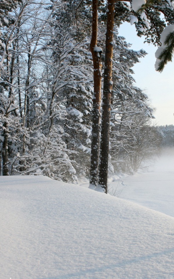 Krajobraz zima 49