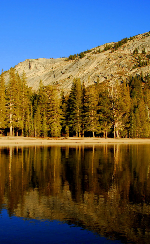 Park Narodowy Yosemite w Kalifornii