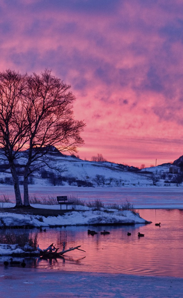 Krajobraz zimą nad jeziorem