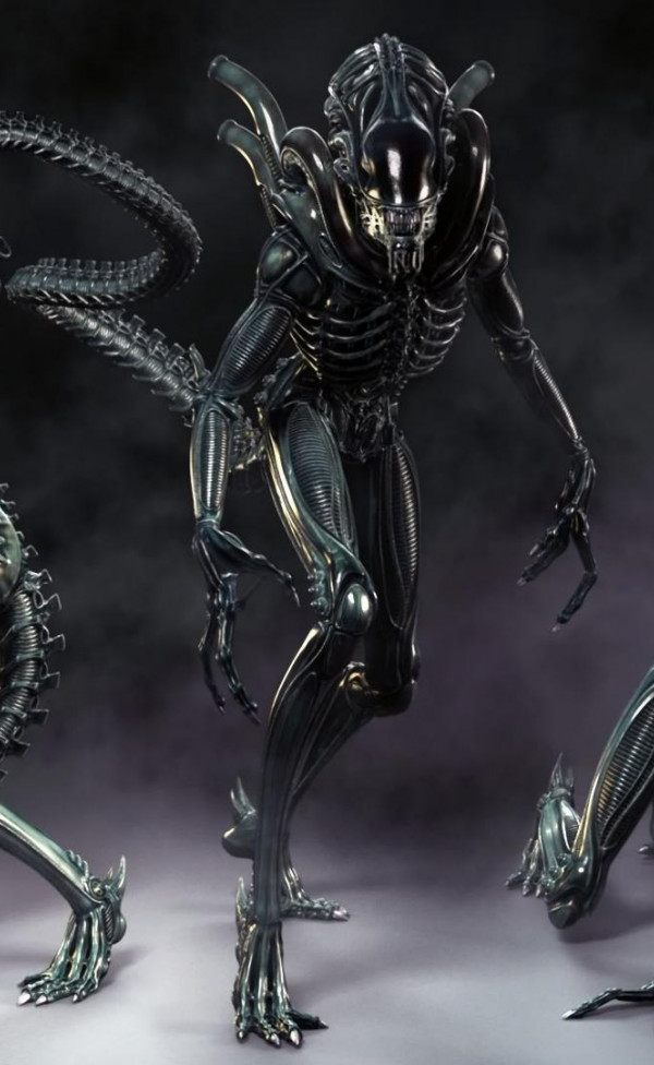 xenomorph