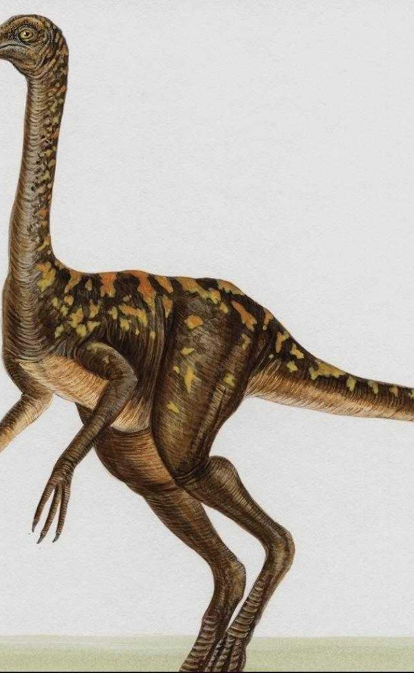 dinozaury (46).jpg