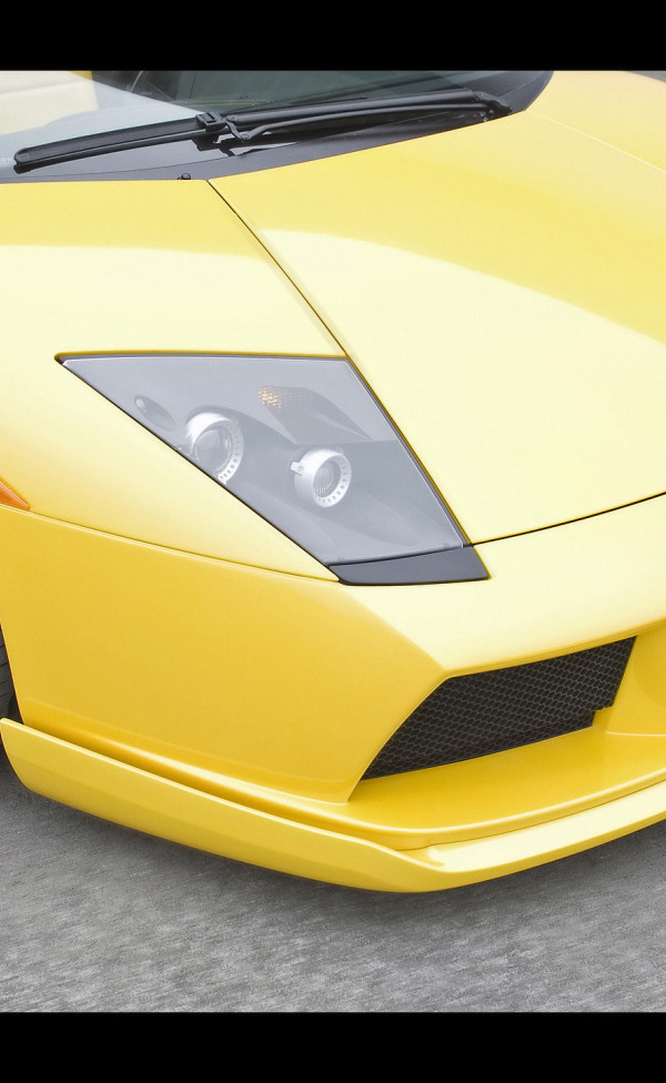 Lamborghini Murcielago Hamann 2007 5.jpg