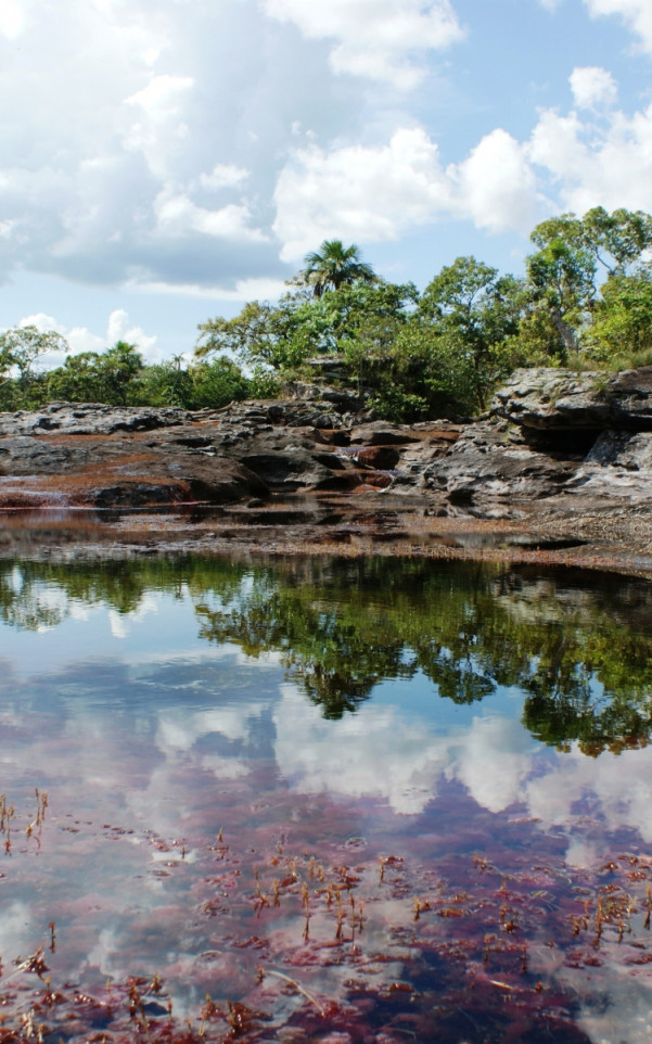 Caño Cristales