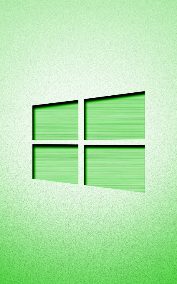 Windows (4)