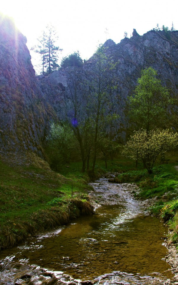 Ścieżka w góry