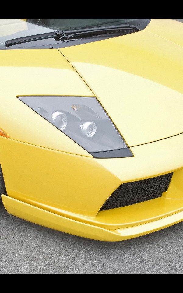 Lamborghini Murcielago Hamann 2007 5.jpg