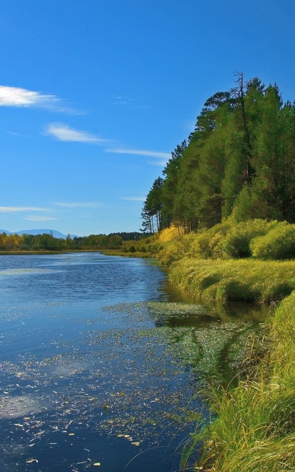 Piękny HD  Widok 80