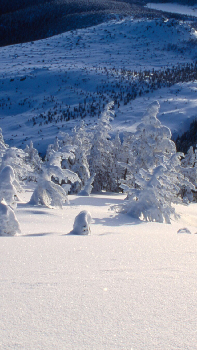Krajobraz zimowy w górach