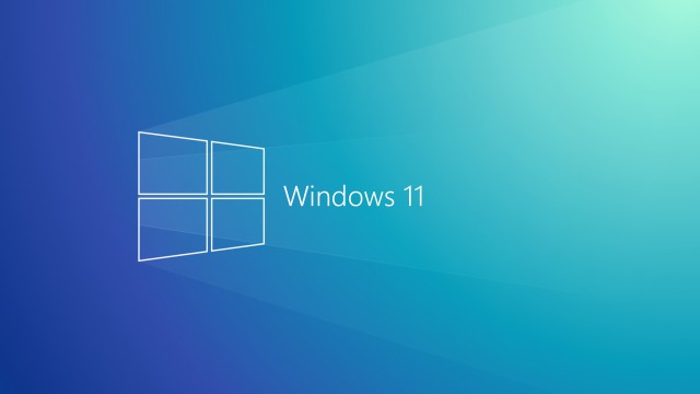 Windows 11