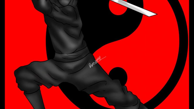 Ninja (5).jpg
