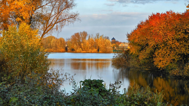 Drzewa nad rzeką