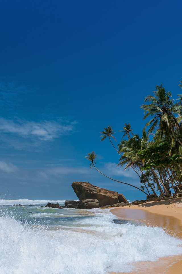 Krajobraz morski z palmami na plaży