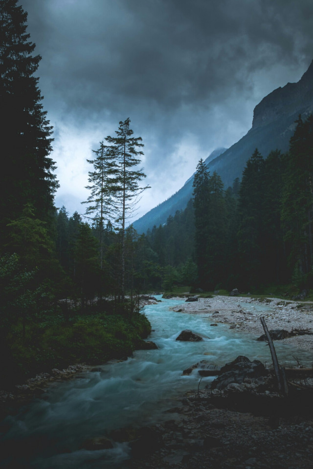 Potok w górach i las
