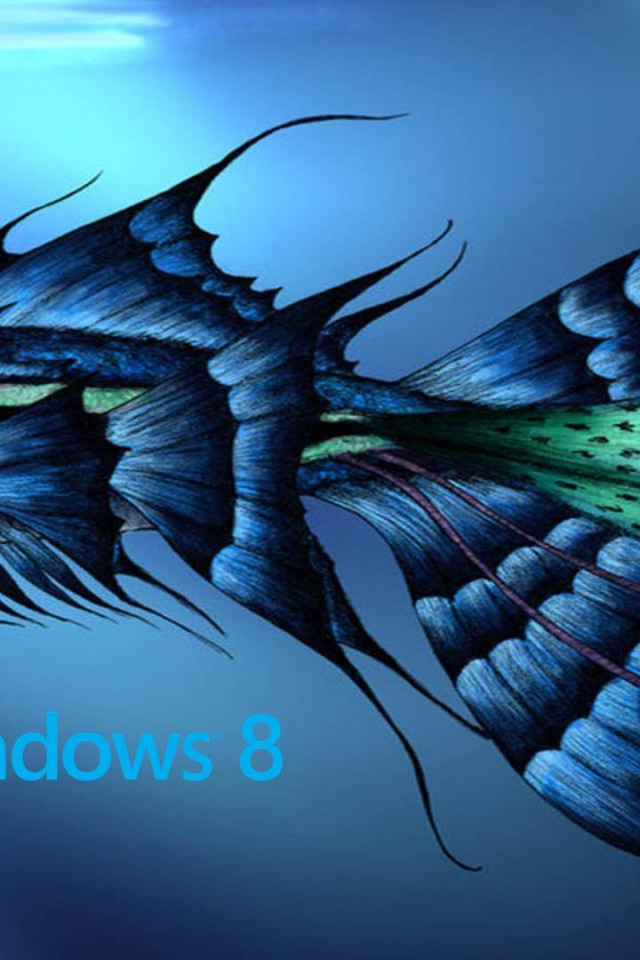 windows 8