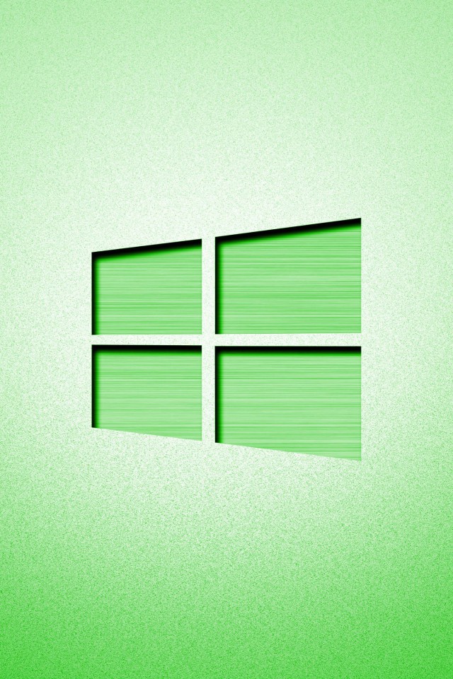 Windows (4)