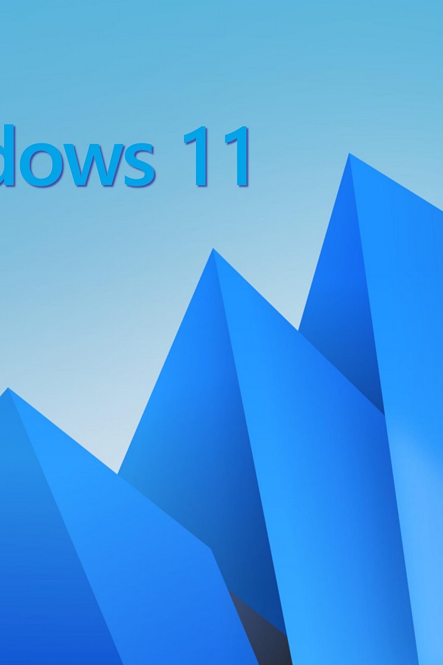 Windows 11 (2)