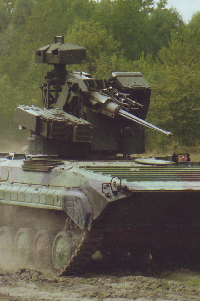 BMP (11).jpg