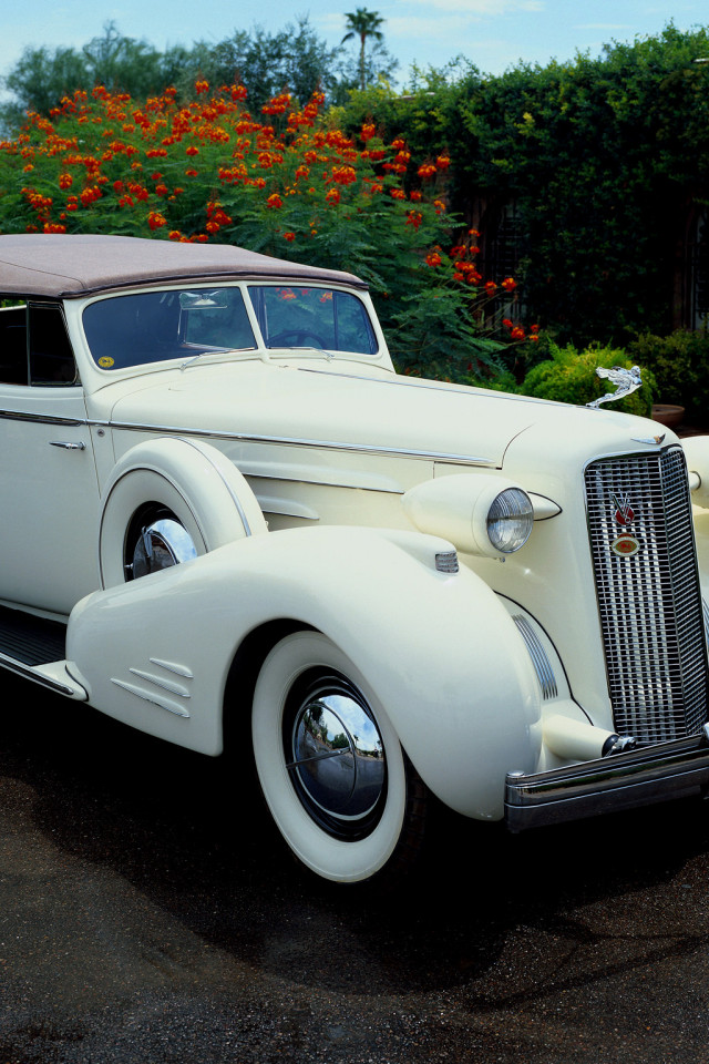 Cadillac V16 Series 90 Town Cabriolet '1936.jpg