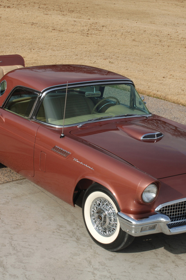 Ford Thunderbird Rumble Seat '1957.jpg