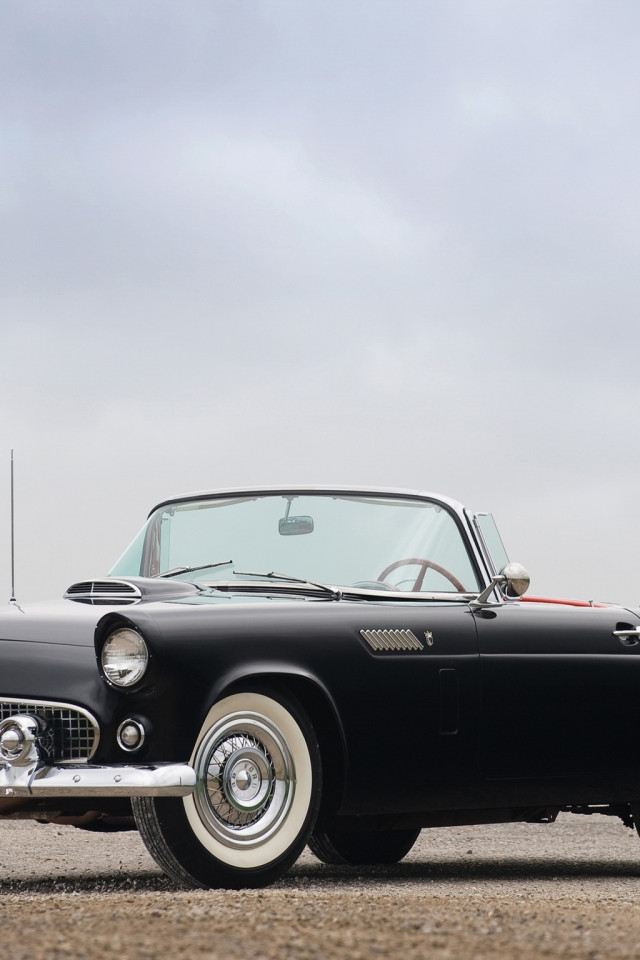 Ford Thunderbird '1956.jpg