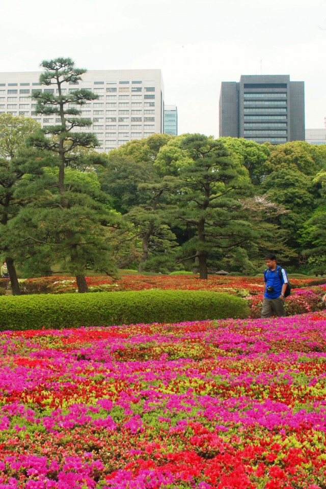 Japonia (174).jpg