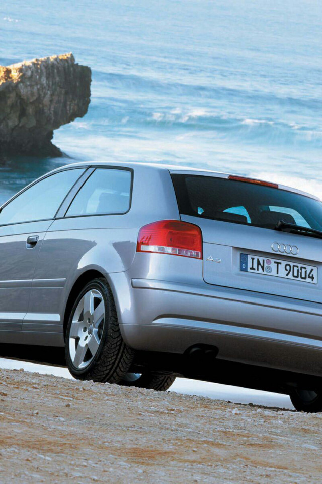 Audi_A3_06_1600.jpg