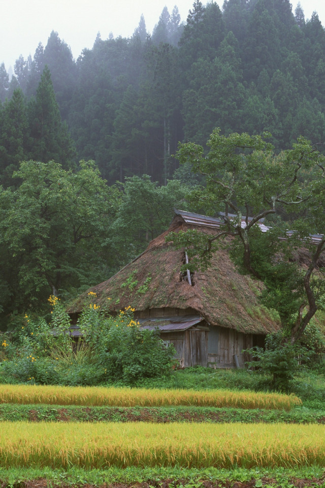 Japonia (8).jpg