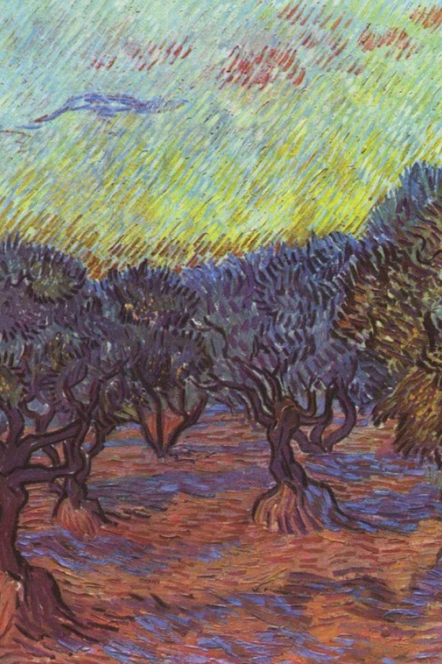 olive-grove.jpg