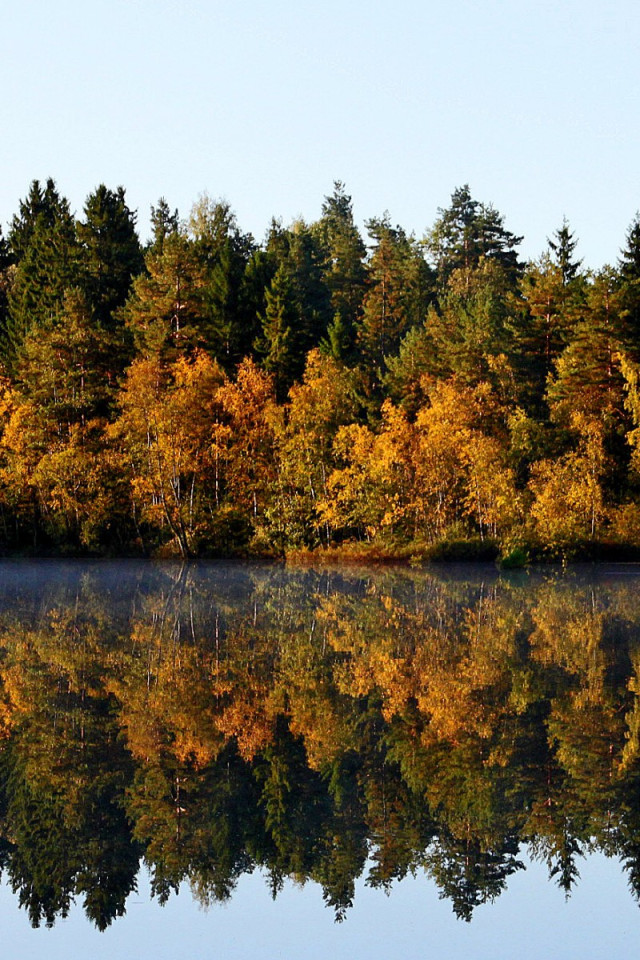 Jesień na drzewach