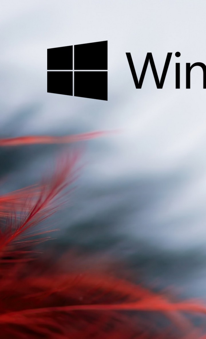 Windows 10