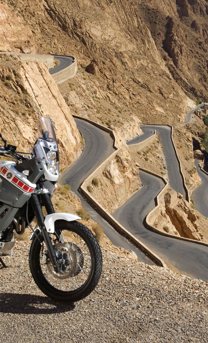 Yamaha_XT660Z_Tenere_2008_21_1440x900.jpg