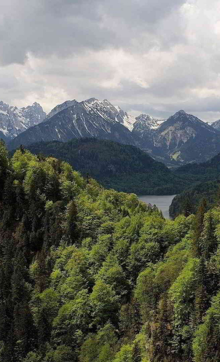 Stary zamek w górach