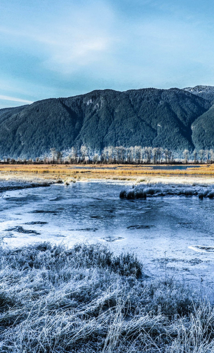 Piękny HD  Widok 20