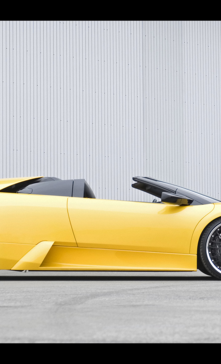 Lamborghini Murcielago Hamann 2007 9.jpg