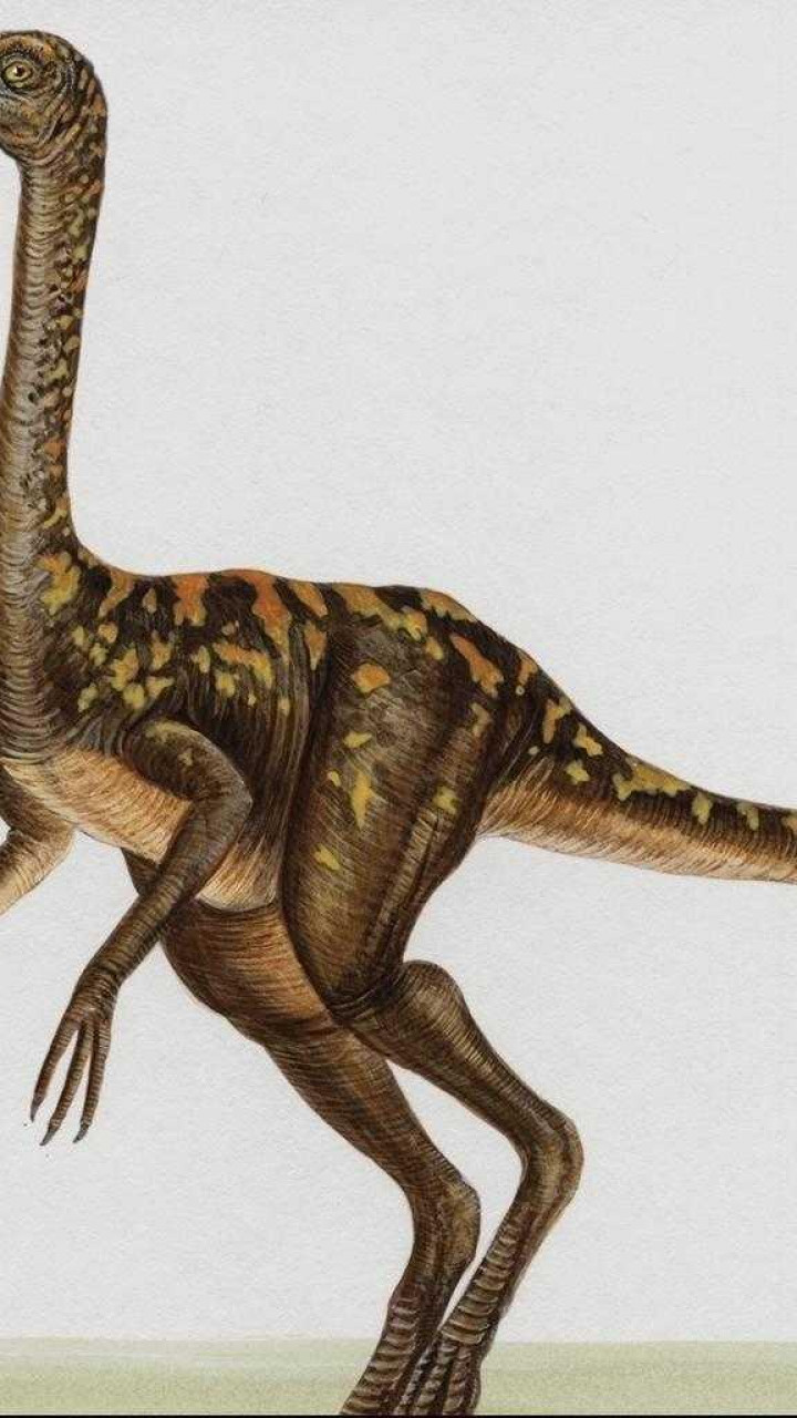dinozaury (46).jpg