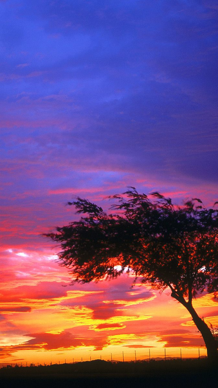 Sunrise, Palmdale, California.jpg