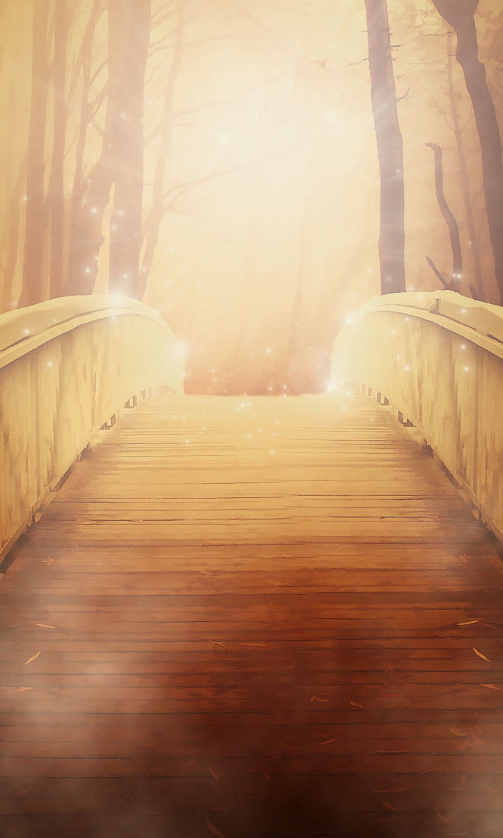 Most w lesie i złote światło