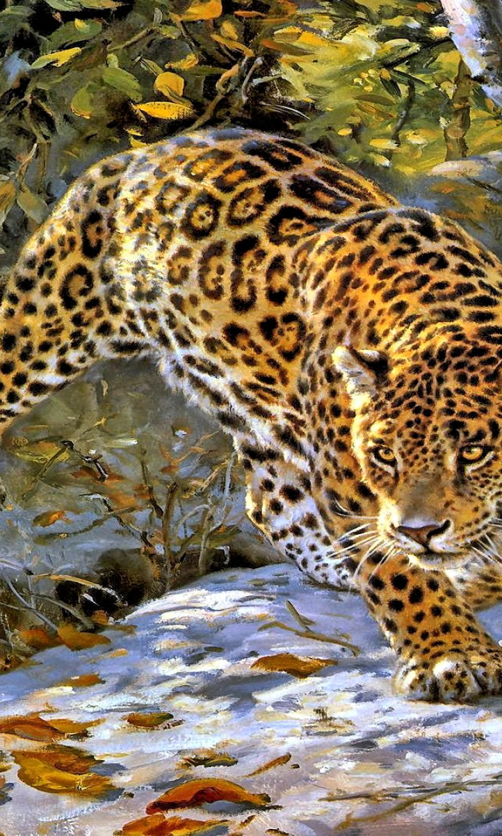 Jaguar