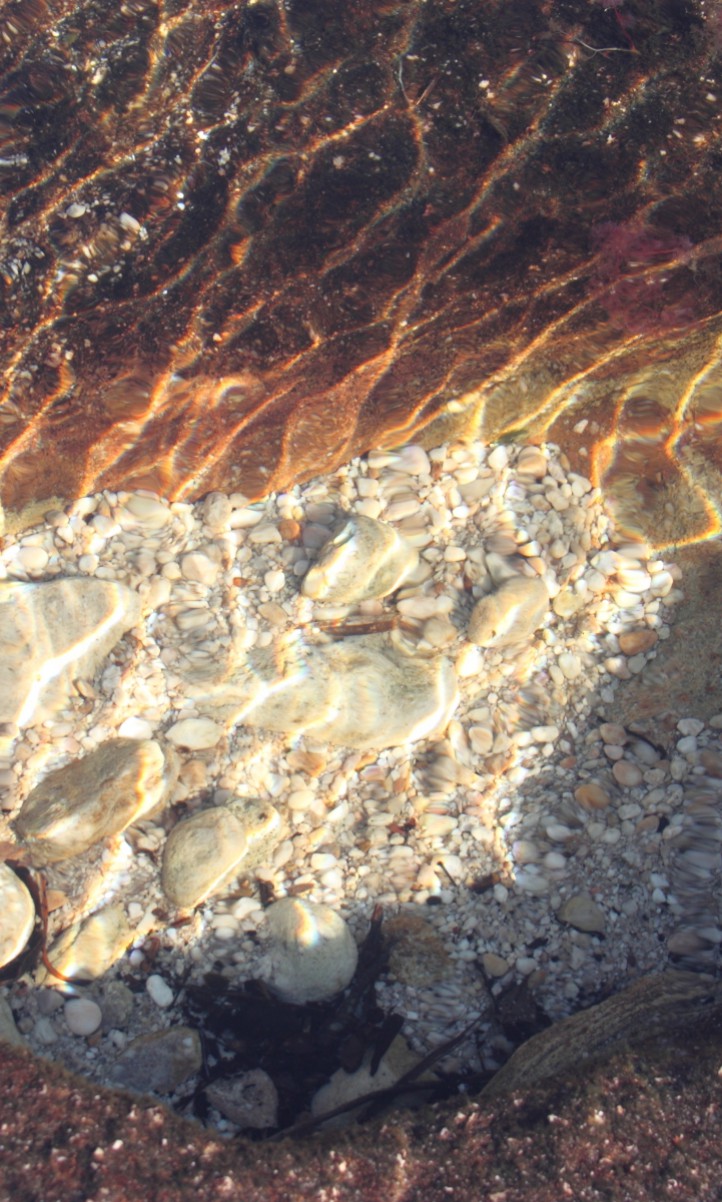 Caño Cristales